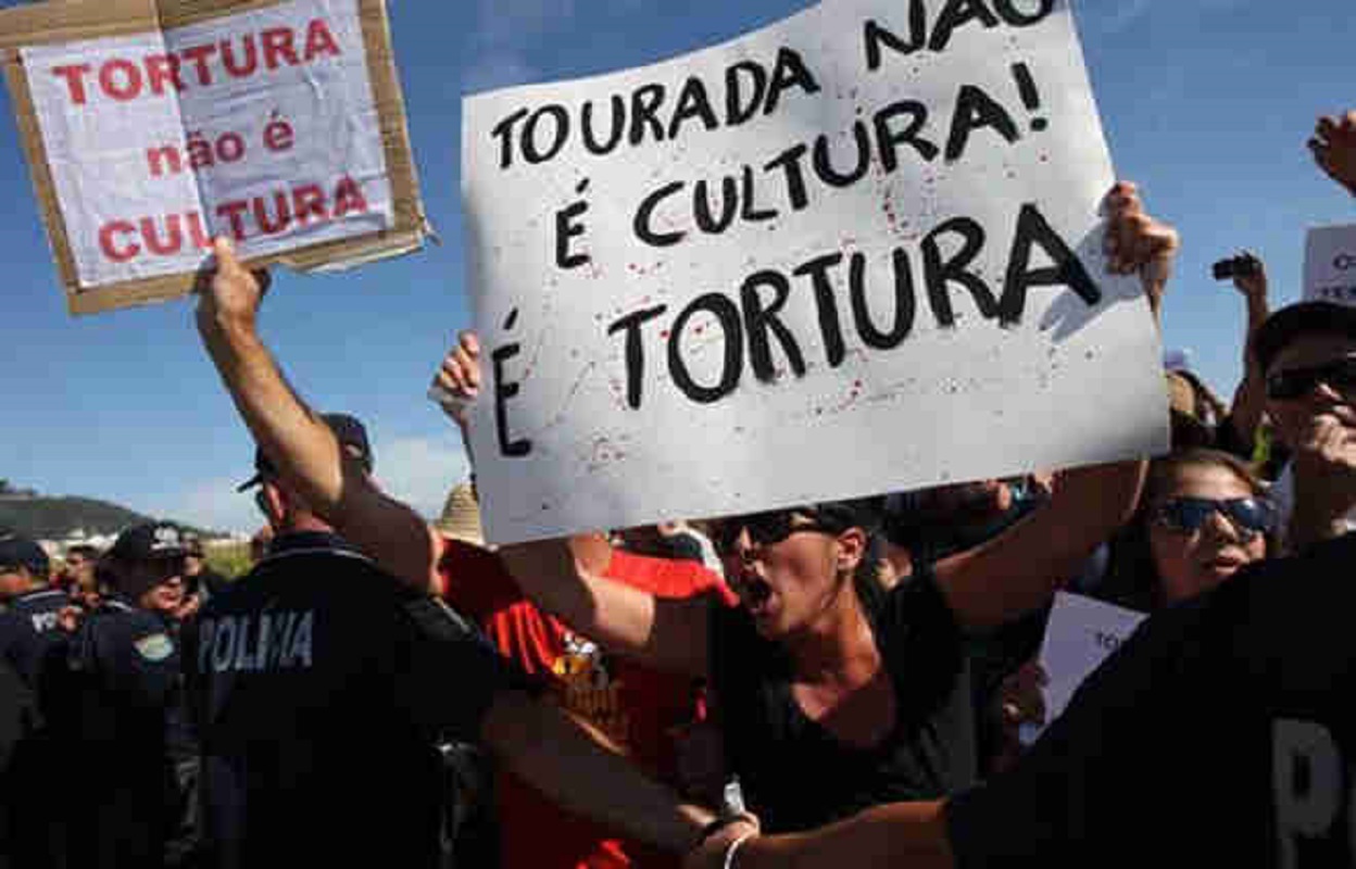 Movimento Antitouradas Marca Manifestação Contra Tourada Das Feiras Novas Rádio Geice 7226