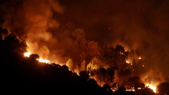 PJ detém suspeito de incêndio florestal em Vila Pouca de Aguiar