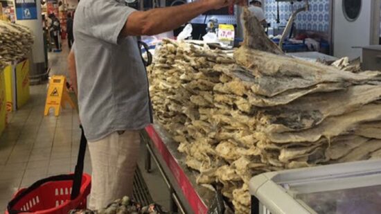 Portugal vai poder pescar 2.296 toneladas de bacalhau junto ao Canadá