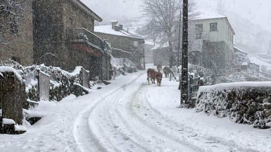 Proteção Civil alerta para agravamento do estado tempo com chegada depressão  Ingrid