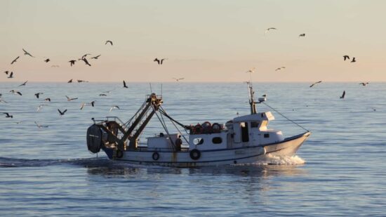 Governo aprova modelo do Documento Único de Pesca