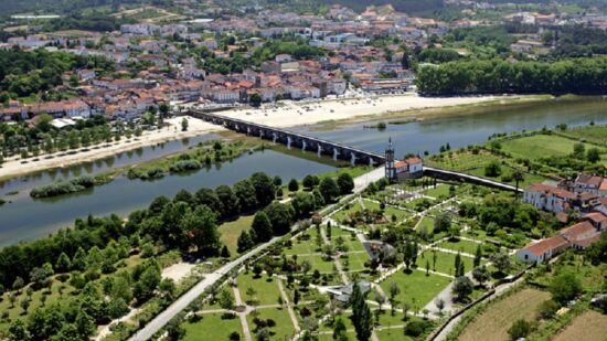 Ponte de Lima prepara campanha de arborização