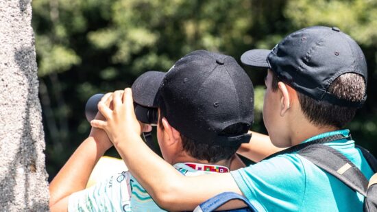 Inscrições para as férias de Verão arrancam às 10h00 de sábado