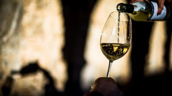 Viana do Castelo celebra Dia Mundial do Enoturismo com caminhada e almoço