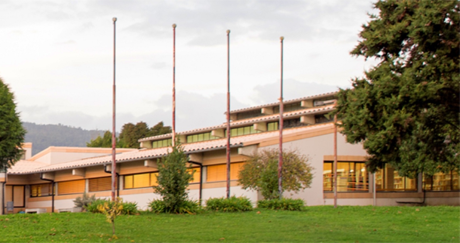 Educação Básica - Instituto Politécnico de Viana do Castelo