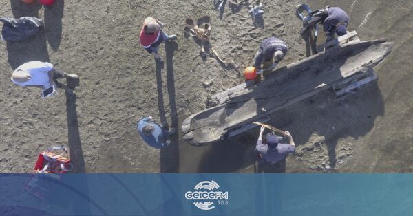 Mais um tesouro nacional. Encontrada sétima piroga no rio Lima