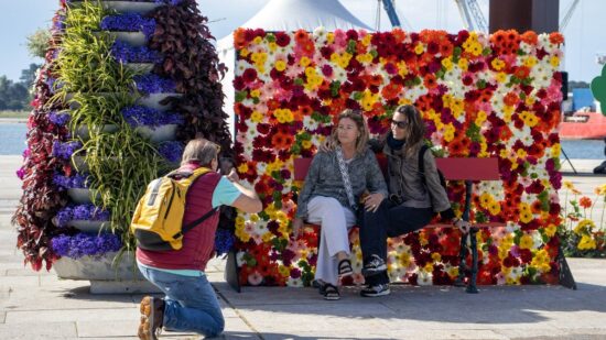 40.000 flores enchem Viana do Castelo de cor e perfume de 30 de abril a 3 de maio