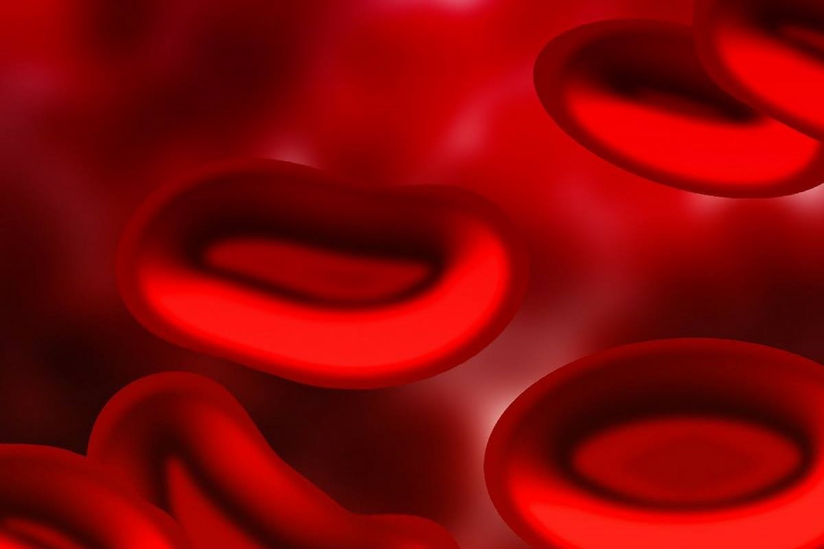 Dia Nacional da Anemia