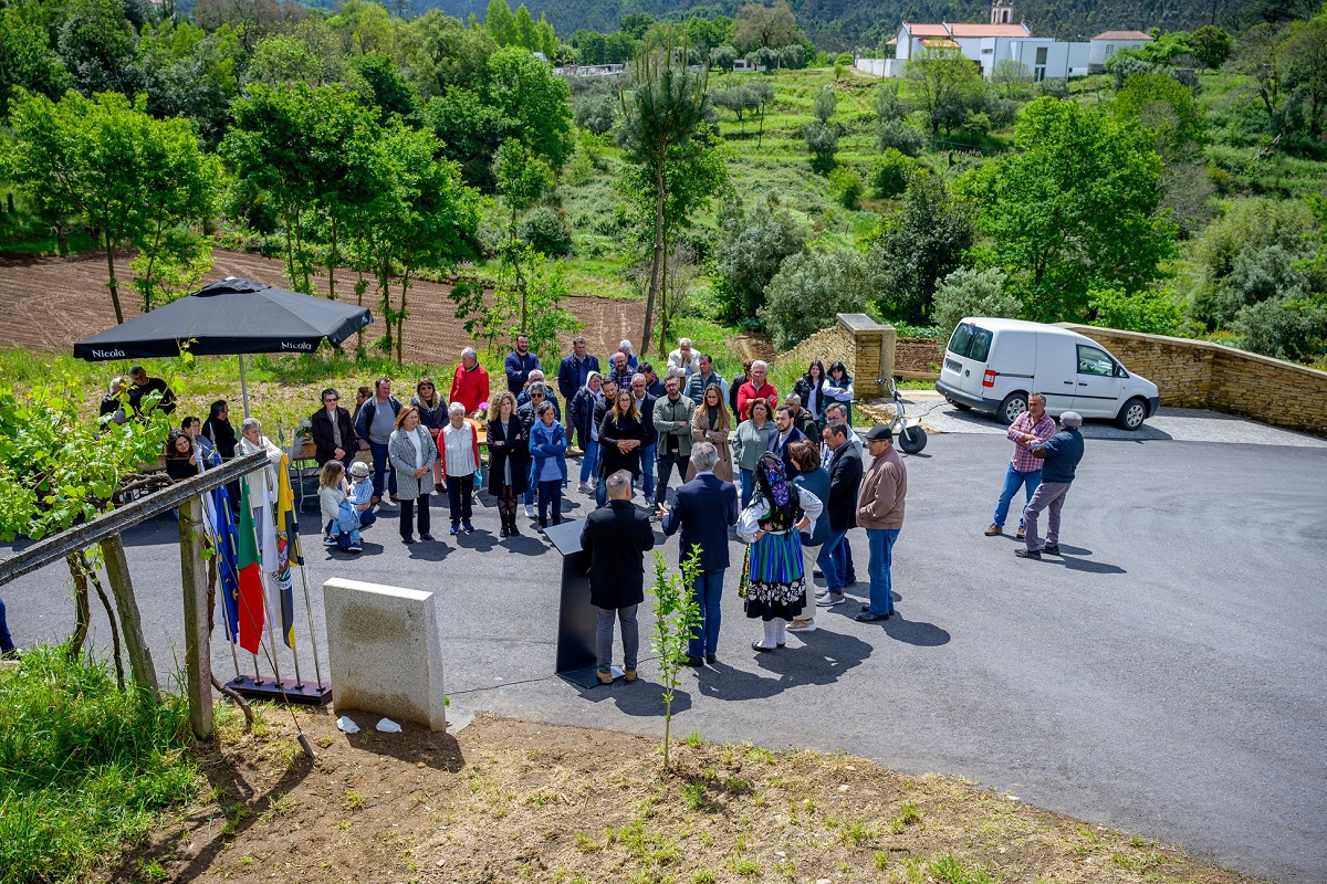 Câmara de Viana, Amonde