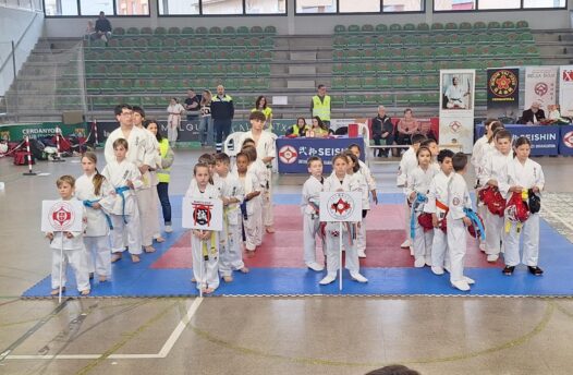 Karate Kyokushin