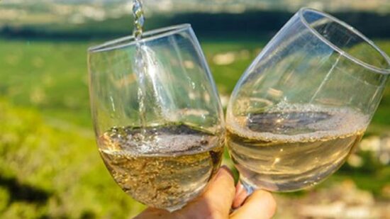 Dias 10 e 11! XIII Encontros Vínicos do Vinho Verde em Viana do Castelo