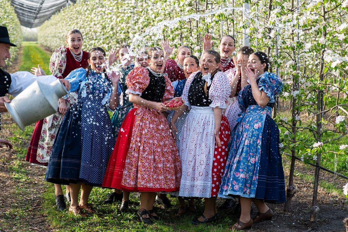 Festival de Folclore Internacional do Alto Minho, Hungria