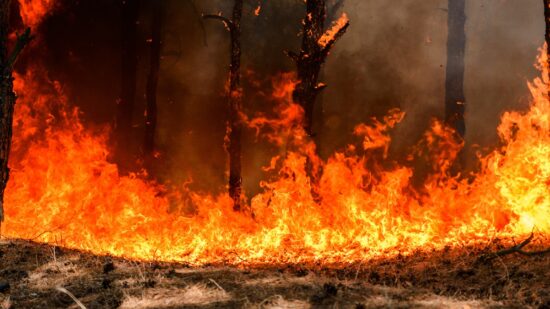 Incêndio na A28 entre Barqueiros e Laúndos