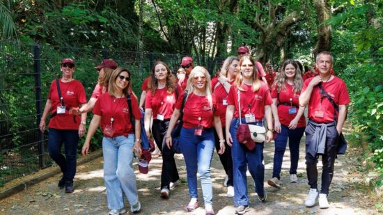 Este sábado! Pedipaper junta 11 equipas de advogados no centro histórico de Viana do Castelo