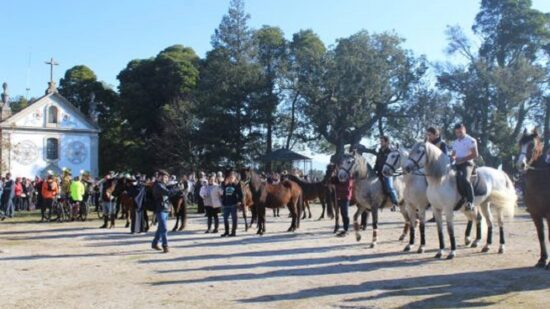 Tradição da bênção do animais volta a cumprir-se no alto do monte de S. Silvestre