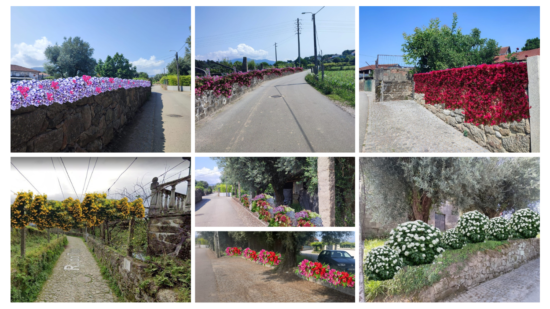 Projeto sobre o Caminho de Santiago Florido é um dos vencedores do OP de Ponte de Lima