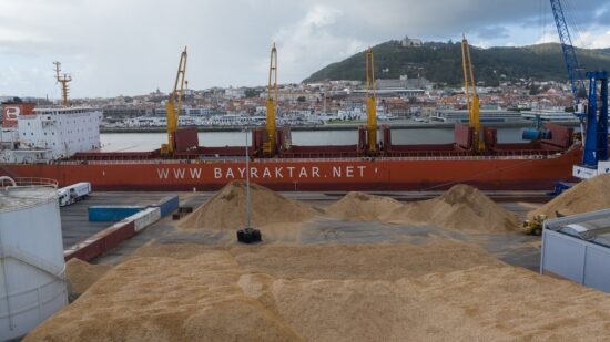 É o maior navio de sempre no Porto de Viana e está a descarregar 22 mil toneladas de madeira