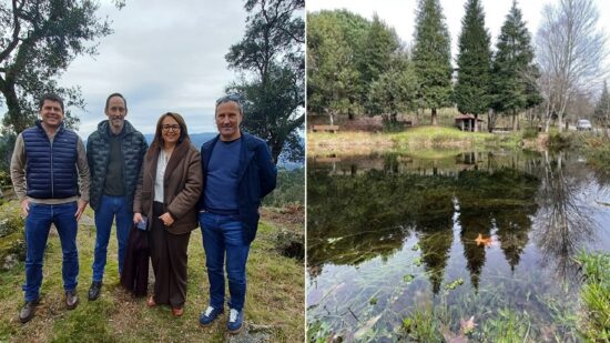 Carvoeiro vai plantar espécies autóctones em cerca de 120 hectares