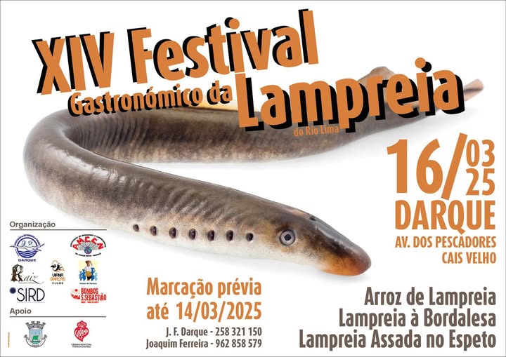 Festival da Lampreia