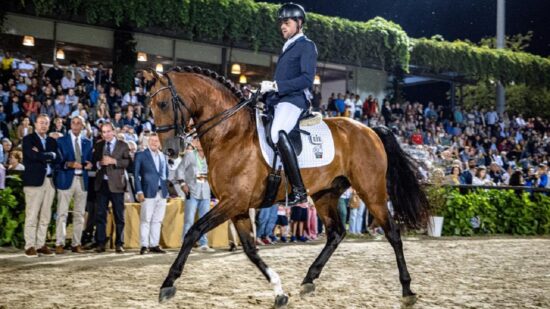 Ponte de Lima recebe Circuito Equestre Regional Porto e Norte de Portugal