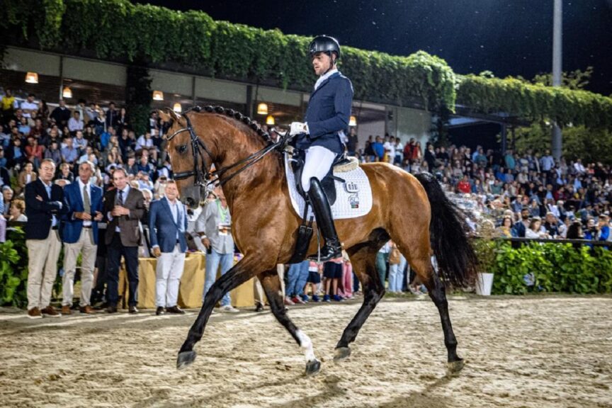 Ponte de Lima recebe Circuito Equestre Regional Porto e Norte de Portugal