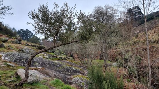 Serra da Padela é palco da terceira caminhada “Passos de Memória”