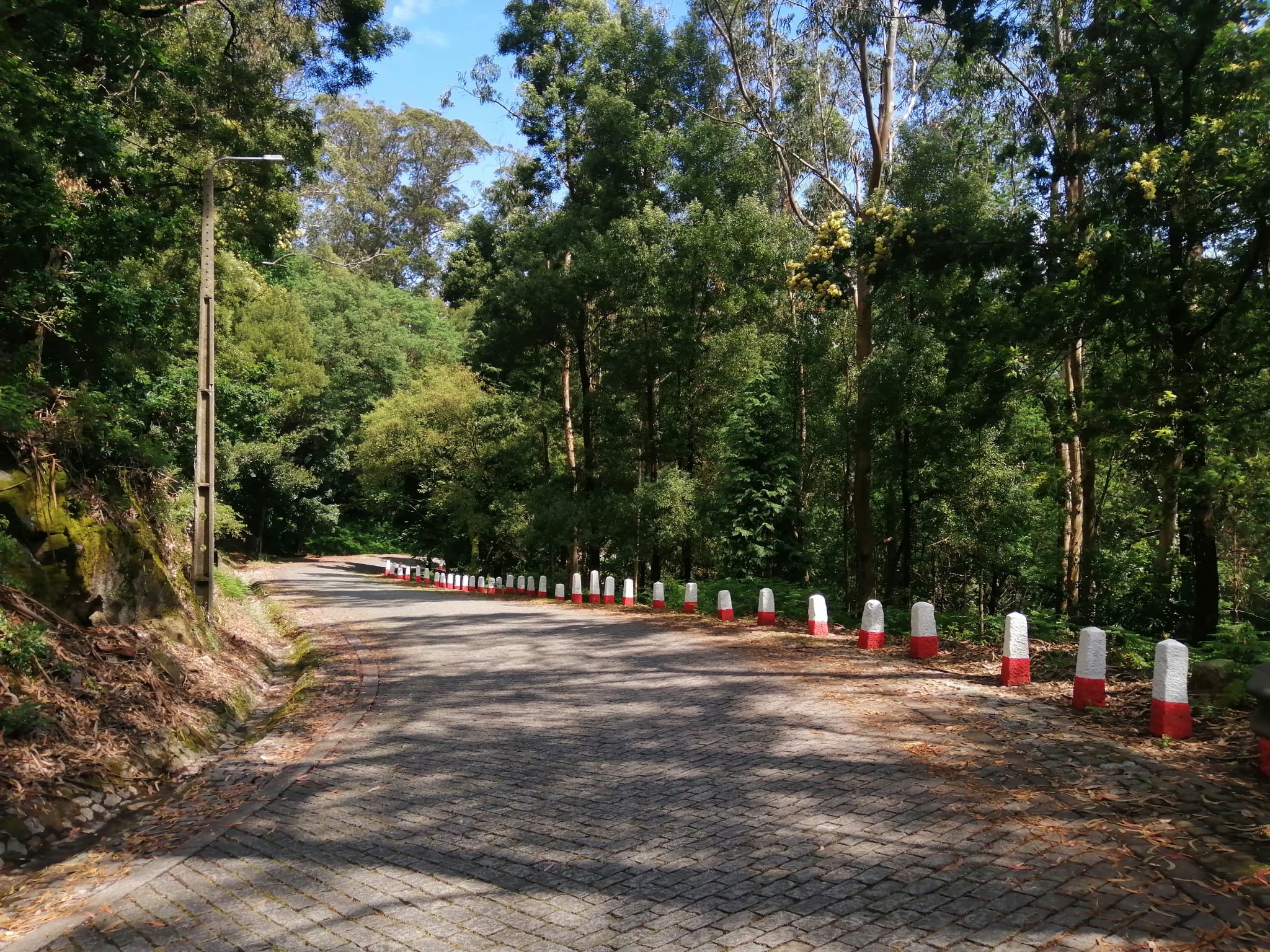 Estrada de Santa Luzia
