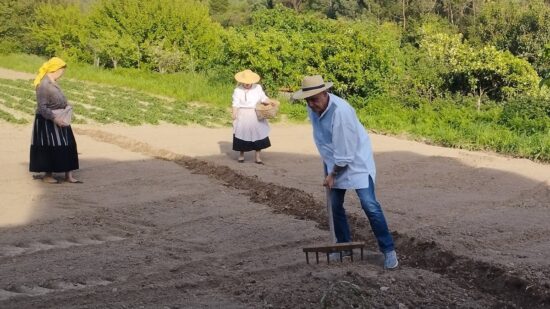 Começou a sementeira do linho em Santa Marta de Portuzelo