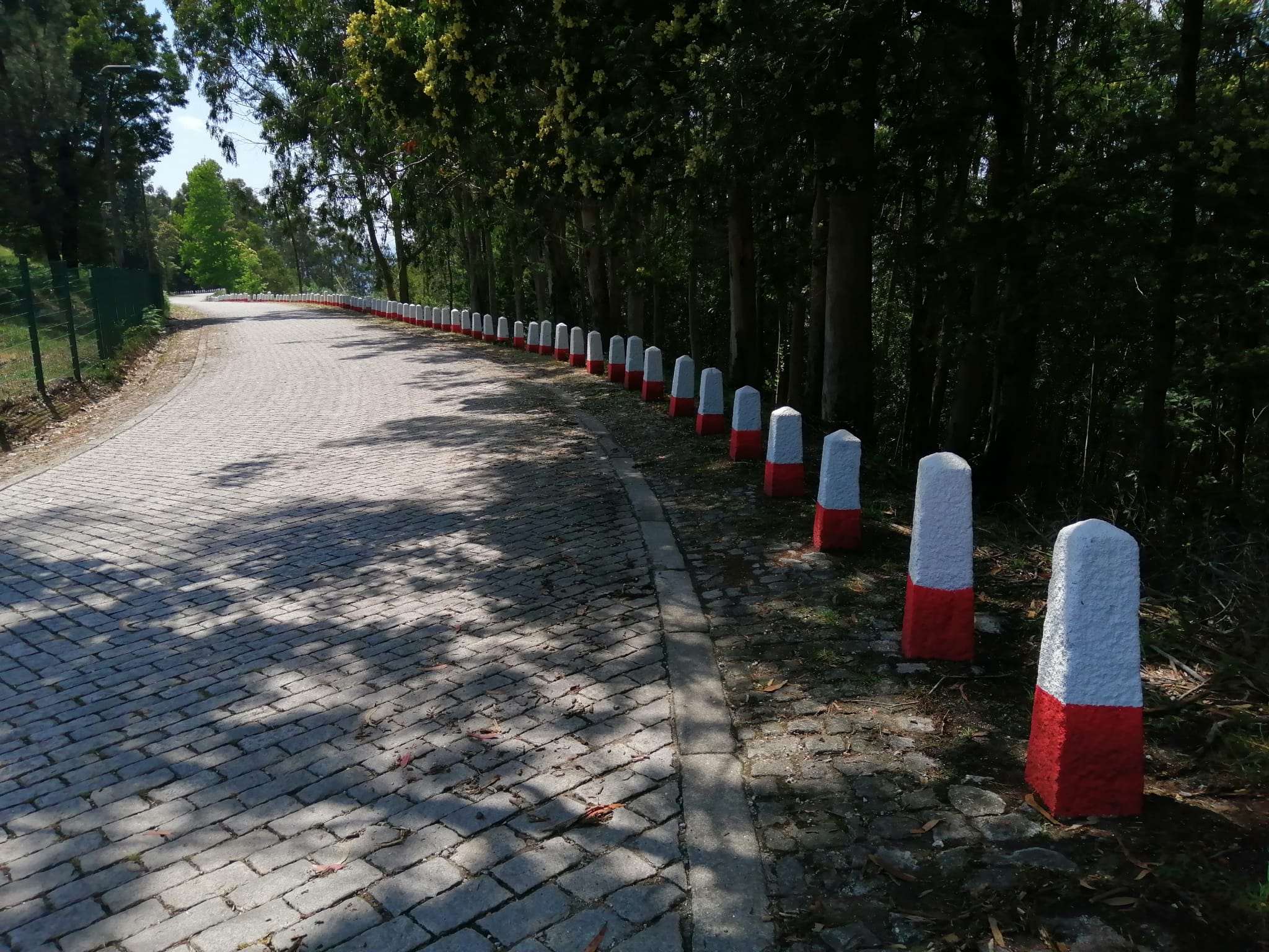 Estrada de Santa Luzia
