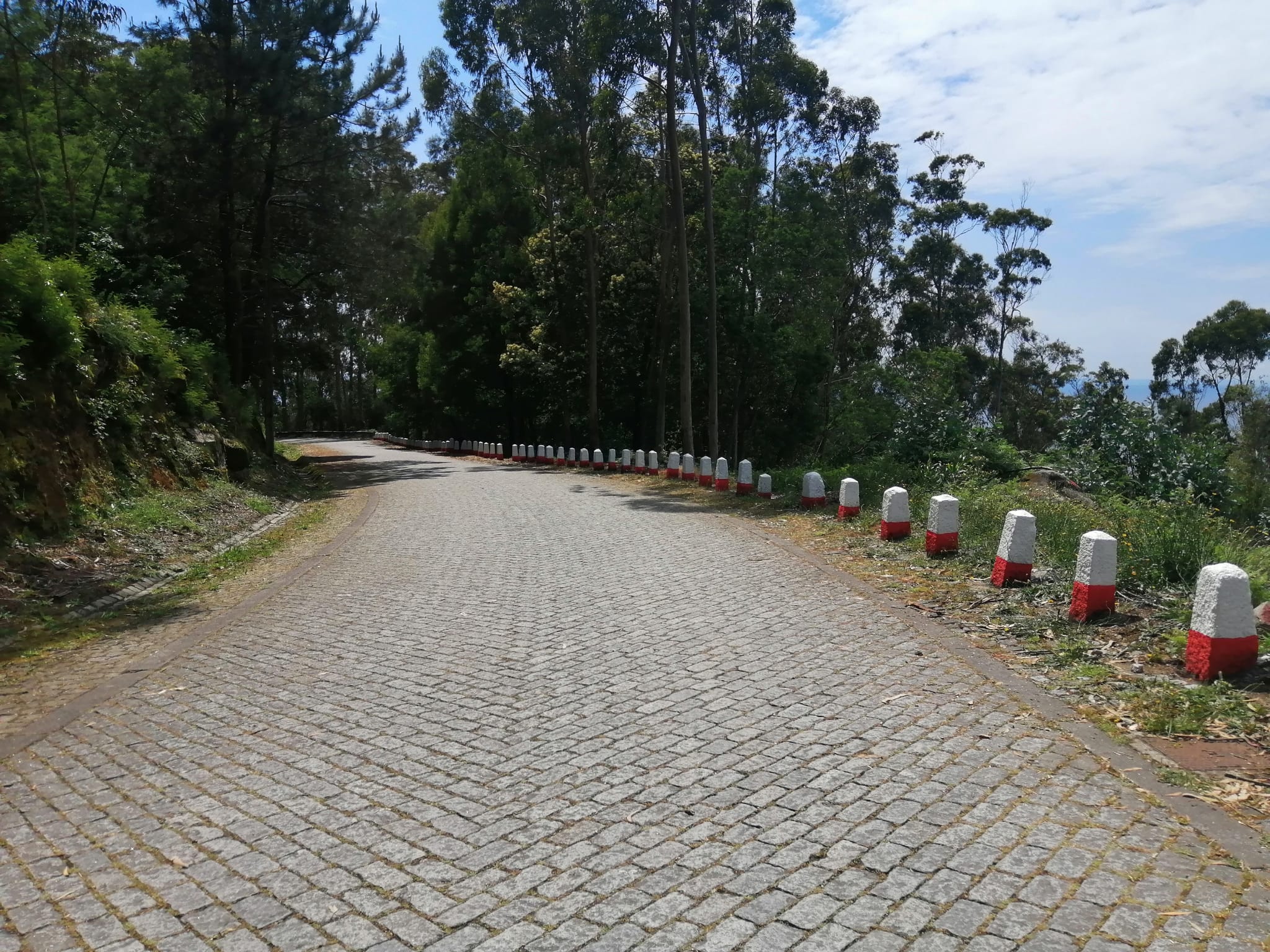 Estrada de Santa Luzia