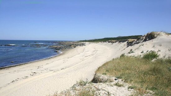 Alto Minho tem duas praias “Zero Poluição”