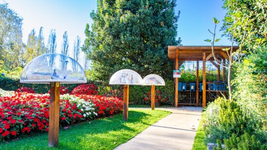 Ponte de Lima promove visitas guiadas a sete jardins da vila