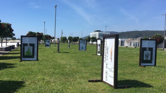 Há uma nova exposição para ver na praia Norte em Viana