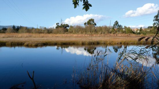 Caminhada “Passos de Memória” realiza-se no Trilho Pedestre e Equestre da Ribeira Lima