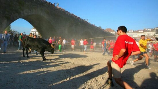 Tradição da “Vaca das Cordas” regressa ao centro histórico de Ponte de Lima