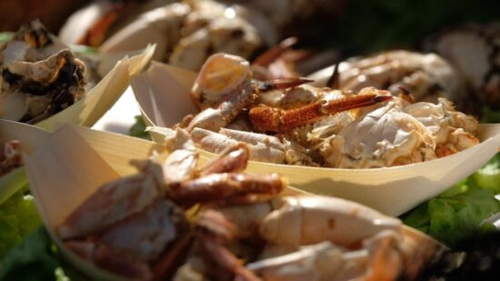 Castelo do Neiva acolhe mostra gastronómica dedicada aos produtos do mar