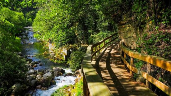 Arcos de Valdevez: “Caminhada com Propósito” para unir comunidade e natureza