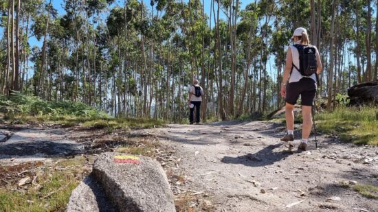 “Passos de Memória” regressa a Viana do Castelo com caminhada no Trilho dos 3 Cumes