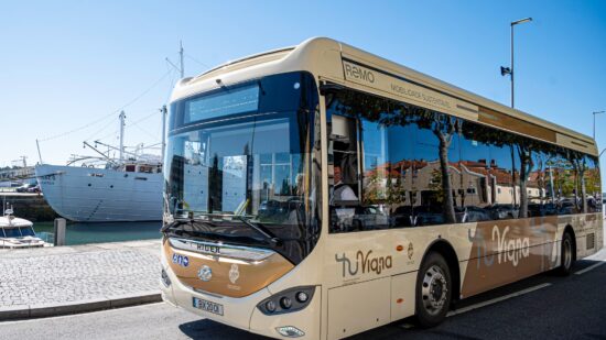 Viana do Castelo abre concurso para 20 novos motoristas