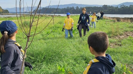 Jovens participam em plantação de árvores no Parque de Lazer da Preguiça