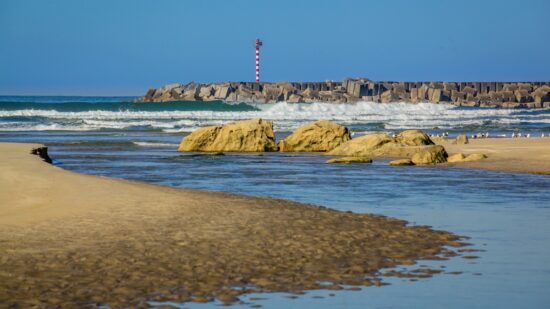 Bloco de Esquerda garante “avanços para o Alto Minho” no OE2026