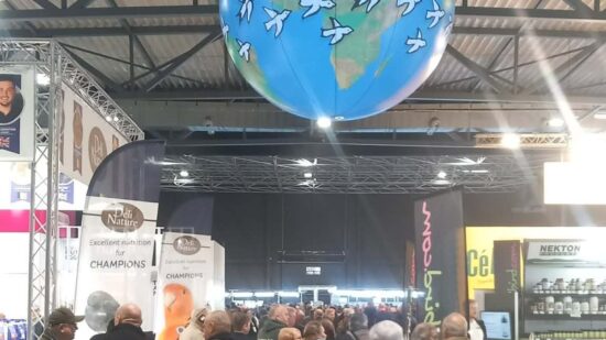 Associação Ornitológica Vianense conquista sete pódios no Mundial