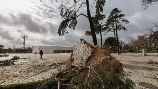 Viana disponível para apoiar municípios afetados pelo mau tempo