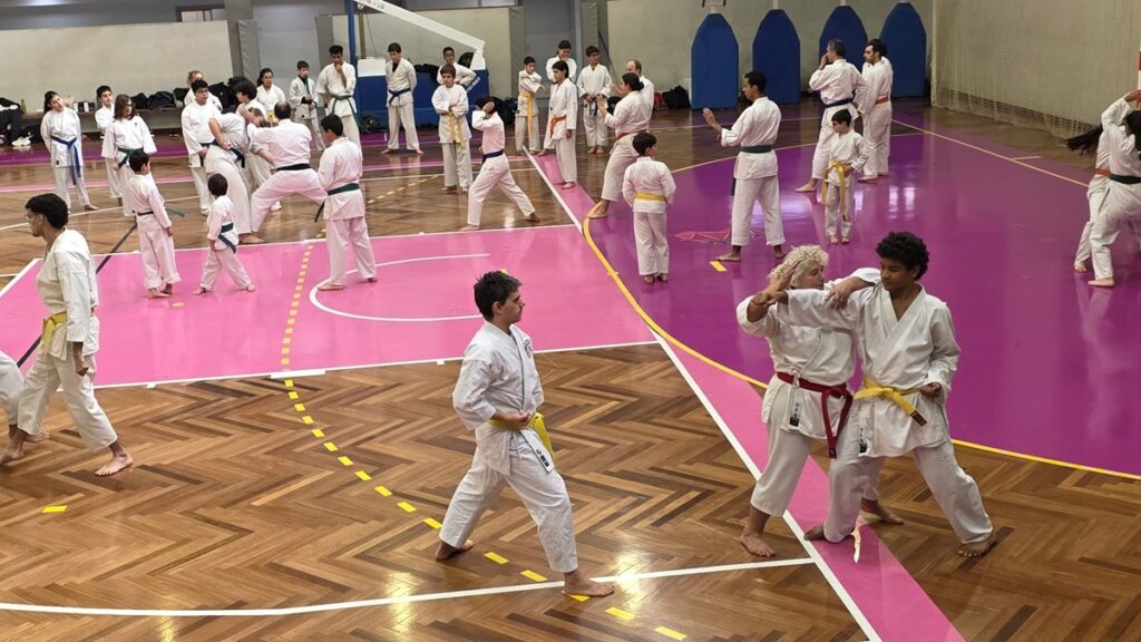 Viana recebe estágio nacional de Karaté Kyokushin