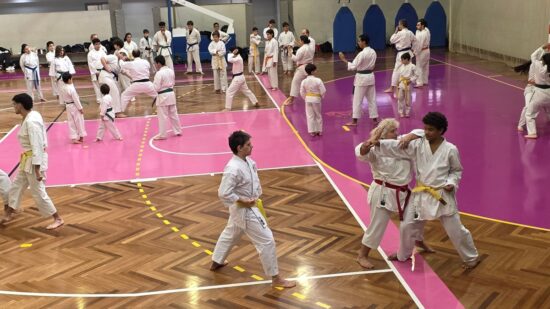Viana recebe estágio nacional de Karaté Kyokushin