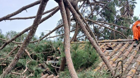 Campanha de recolha de materiais de construção para apoiar populações afetadas pelo mau tempo