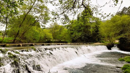 Artistas internacionais transformam Freixeiro de Soutelo em galeria