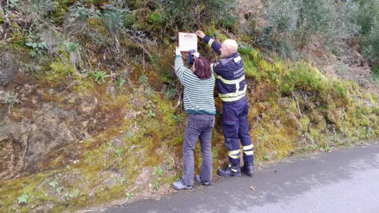 Ações de monitorização reforçam prevenção de incêndios rurais em Viana do Castelo