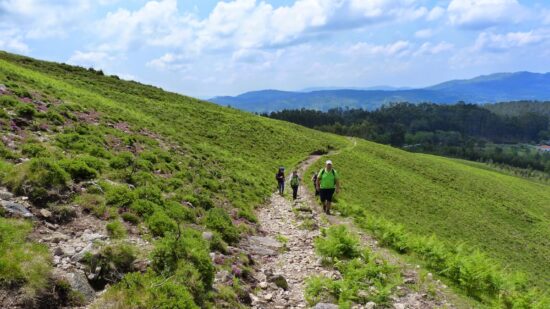 Ponte de Lima promove 3.ª edição do Festival de Caminhadas