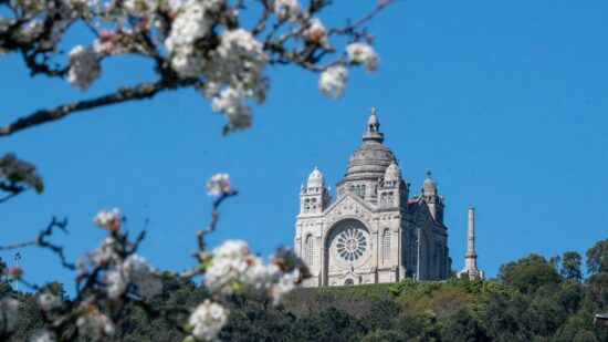 Índice de Transparência Municipal coloca Viana em 15.º lugar entre as maiores cidades portuguesas